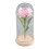 Rose Flower LED Light with Glass Cover Base 2