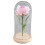 Rose Flower LED Light with Glass Cover Base 1