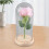 Rose Flower LED Light with Glass Cover Base 12