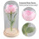 Rose Flower LED Light with Glass Cover Base 14