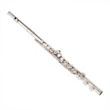 16 Hole Silver-Plated C Key Flute for Beginners and Professionals - Open and Closed Hole Design, Ideal Starter Instrument