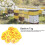50Pcs Red & Yellow Beehive ABS Round Numbered Tags, 3.6cm 6