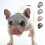 (M, Grey-orange) Short Snout Dog Muzzles,bulldog Muzzle Adjustable Breathable Mesh Dog Muzzle For Briting Chewing 1