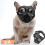 (M, Black) Short Snout Dog Muzzles,bulldog Muzzle Adjustable Breathable Mesh Dog Muzzle For Briting Chewing 1