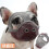 (L, Grey-red) Short Snout Dog Muzzles,bulldog Muzzle Adjustable Breathable Mesh Dog Muzzle For Briting Chewing 1