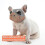 (M, Grey-orange) Short Snout Dog Muzzles,bulldog Muzzle Adjustable Breathable Mesh Dog Muzzle For Briting Chewing 3