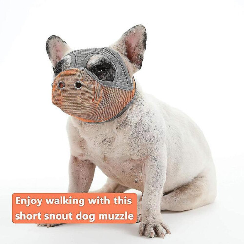 (M, Grey-orange) Short Snout Dog Muzzles,bulldog Muzzle Adjustable Breathable Mesh Dog Muzzle For Briting Chewing 2