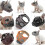 (M, Grey) Short Snout Dog Muzzles,bulldog Muzzle Adjustable Breathable Mesh Dog Muzzle For Briting Chewing 4