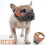 (M, Orange-black) Short Snout Dog Muzzles,bulldog Muzzle Adjustable Breathable Mesh Dog Muzzle For Briting Chewing 1
