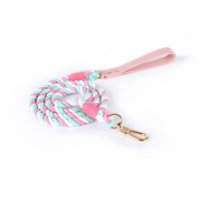 Strong Dog Leash for Large Dogs, Extendable Webbing Leash with Color Gradients for Walks, 2 Meters Long