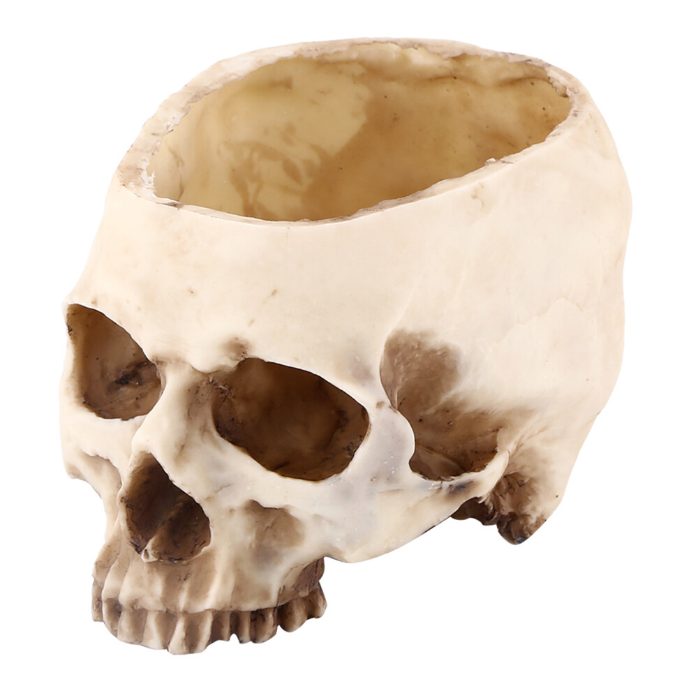 1pc Resin Skull Head Design Flower Pot Planter