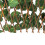 Artificial Hedges Fence Simulation Expandable Sun 13
