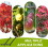 25 Pieces Fruit Tree Branch Spreader Set for Bonsai and Fruit Trees, Strong Spreading Tools with Adjustable Step Angle 2