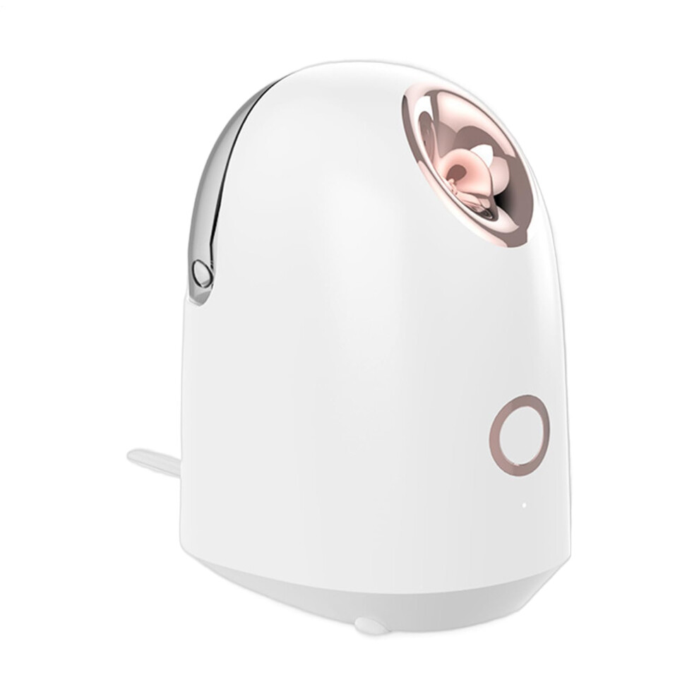 Facial Steamer | Face Humidifier Spray Device | Pore Cleansing Machine for Women and Girls | Home Use Moisturizing Tool