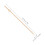 200 Pcs Fruit Skewers Fruit Stick 12.00x0.70x0.70cm 3