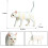 1Stk Simulierte Katzenfigur Mehrfarbig Sicheres Material 2