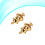 Gitarrengurt Schnalle Golden 2 10