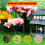 4 Packs Diorama Sandbox Modeling 15.00x12.00x5.00cm 7