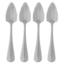 Stainless Steel Fruit Spoon Serrated Edge Mirror 4pcs