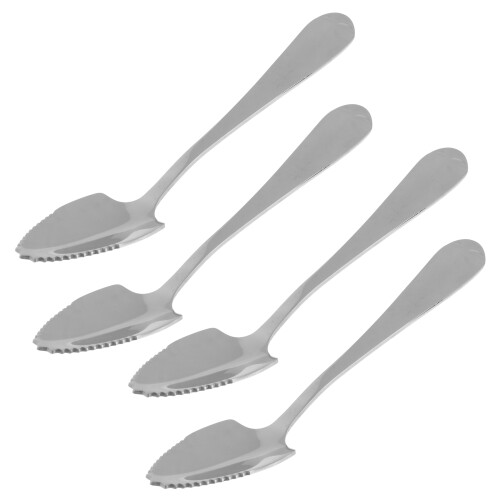 Stainless Steel Fruit Spoon Serrated Edge Mirror 4pcs 2