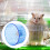 1Roue Silencieuse Pour Chinchilla Hamster 6