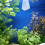 20 Filter Sockhouder Aquarium, Mesh Filter Sock Visbak 10