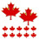 12 Maple Leaf Broche Speld Metalen Kledingbeslag 10