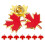 12 Maple Leaf Broche Speld Metalen Kledingbeslag 1
