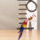 Budgie Klimladder Speelgoed, Trap, Vogeltraining 4