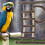 Budgie Klimladder Speelgoed, Trap, Vogeltraining 6