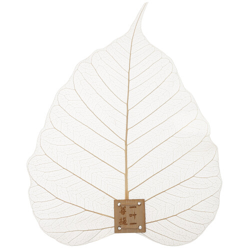 Leaves Thee Infuser Lime Blad Theefilter Kung Fu Set Accessoires