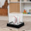 Clear Acrylic Baseball Display Case Baseball Storage 4