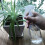 4Pcs Plastic Water Sprayer Bottles White Multi-Use Gardening Spray 3