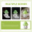 Ocarina Ceramic 1set 3x2.4x1.2in 10