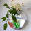 Raindrops Clear Wall Fish Bowl Round Acrylic 1pcs 9