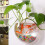 Raindrops Clear Wall Fish Bowl Round Acrylic 1pcs 11