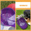 Cap Insert Shaper Hat Support Insert Transparent Pvc 20pcs 9