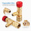 Golden Brass Safety Valve Charging 2pcs 4