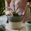 Fertilizer Mesh Basket Silver 12pcs 2.0x0.8x0.8in 5