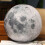 Decorative Moon Cushion Grey Pp Cotton 1pcs 6.7in 6