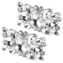2 Pcs Shoe Accessory Clips Charms For Buckle Bridal Miss