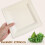 50Pcs Eco-Friendly White for and Picnic 6