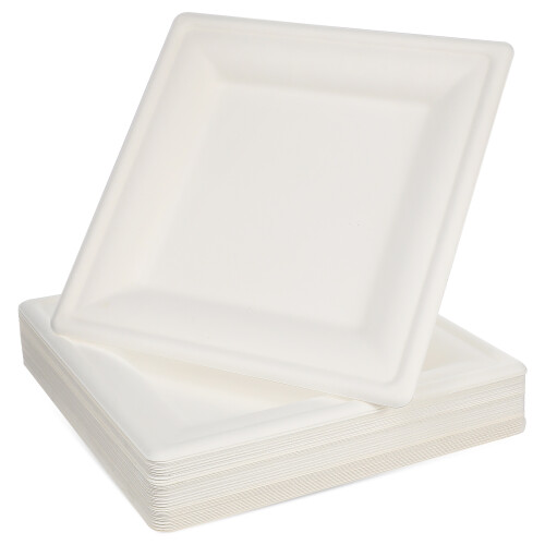 50Pcs Eco-Friendly White for and Picnic