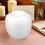 Model Fruit Foam Apple Shape 1set 7