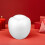 Model Fruit Foam Apple Shape 1set 5