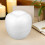 Model Fruit Foam Apple Shape 1set 6