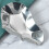 Oyster Shells Metal For Special Occasions 1pack 5
