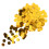 Plastic Holographic Gold Sequin For Latin Dance 3pcs 2