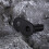 Stroller Pull Head Trailer Accessories Baby Bike Adapter Attachment 5