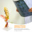 Human Cervicale Wervel Model Medisch Weergave 8